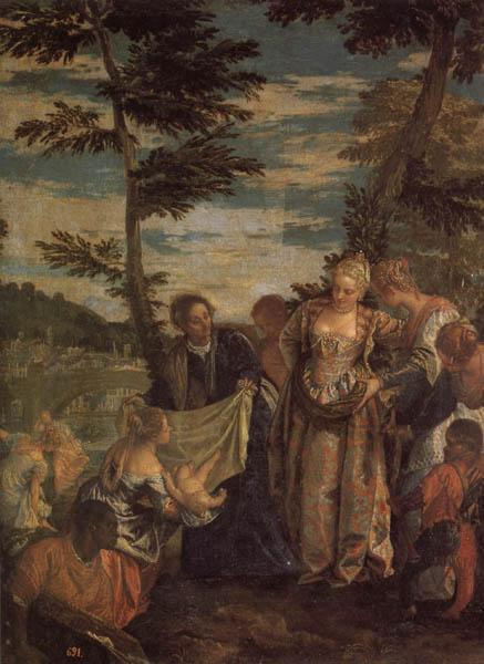 VERONESE (Paolo Caliari) Moses Saved from the Waters of the Nile oil painting image